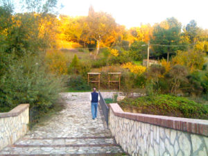 Reaching the Rosary path